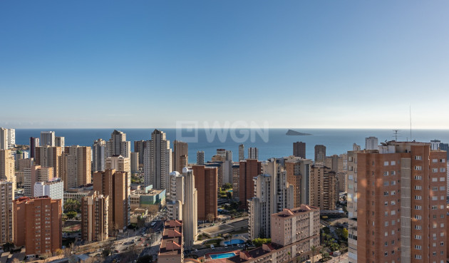 Resale - Apartment / flat - Benidorm - Costa Blanca