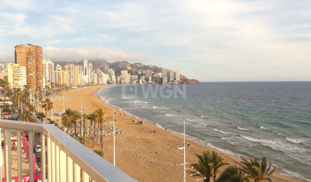 Resale - Apartment / flat - Benidorm - Costa Blanca