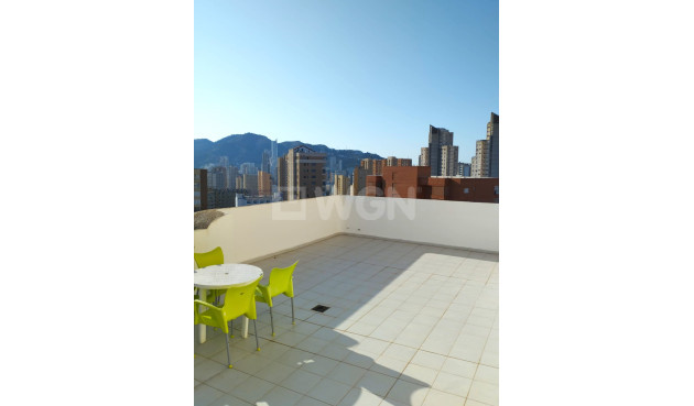 Resale - Penthouse - Benidorm - Costa Blanca