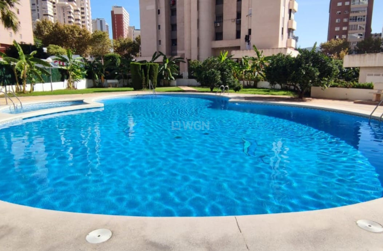 Resale - Penthouse - Benidorm - Costa Blanca