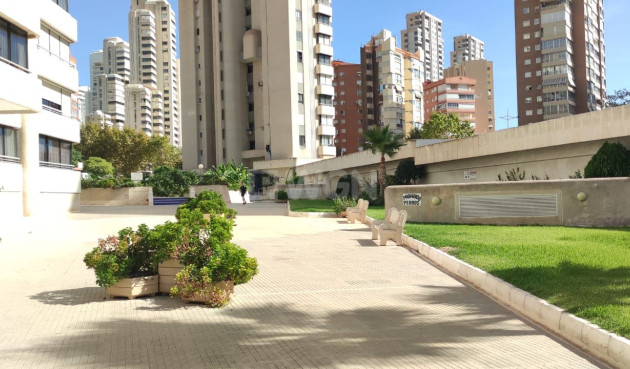 Resale - Penthouse - Benidorm - Costa Blanca