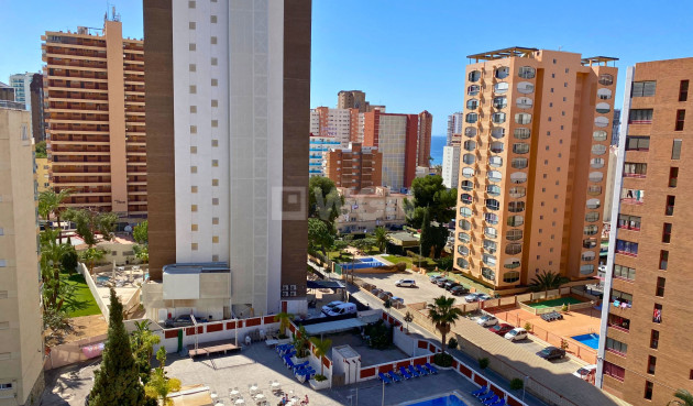 Odsprzedaż - Mieszkanie w bloku - Benidorm - Costa Blanca