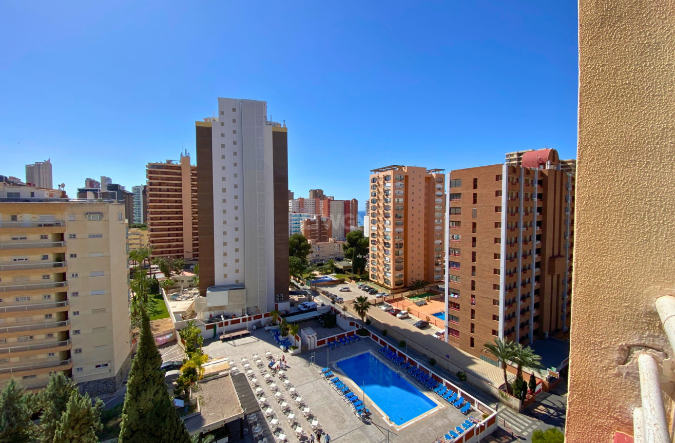 Odsprzedaż - Mieszkanie w bloku - Benidorm - Costa Blanca