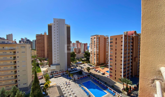 Odsprzedaż - Mieszkanie w bloku - Benidorm - Costa Blanca