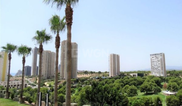 Resale - Apartment / flat - Benidorm - Costa Blanca