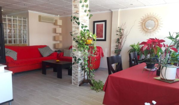 Resale - Penthouse - Benidorm - Costa Blanca