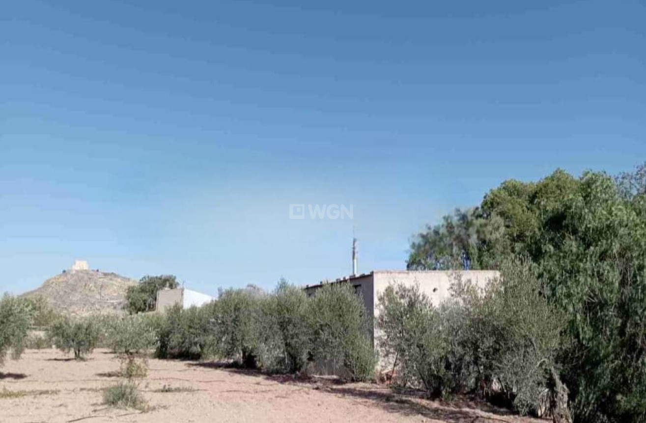 Resale - Villa - Jumilla - Inland