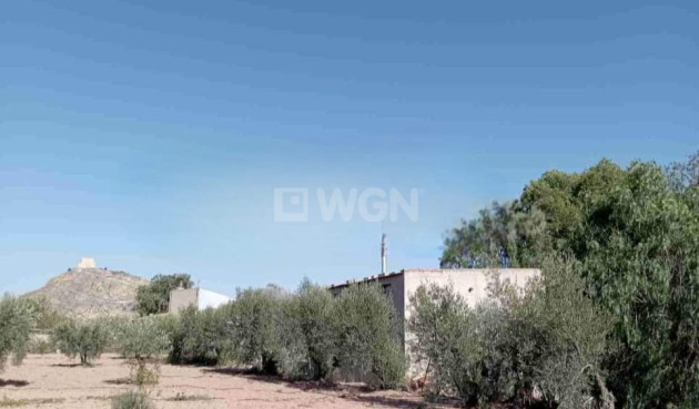 Resale - Villa - Jumilla - Inland