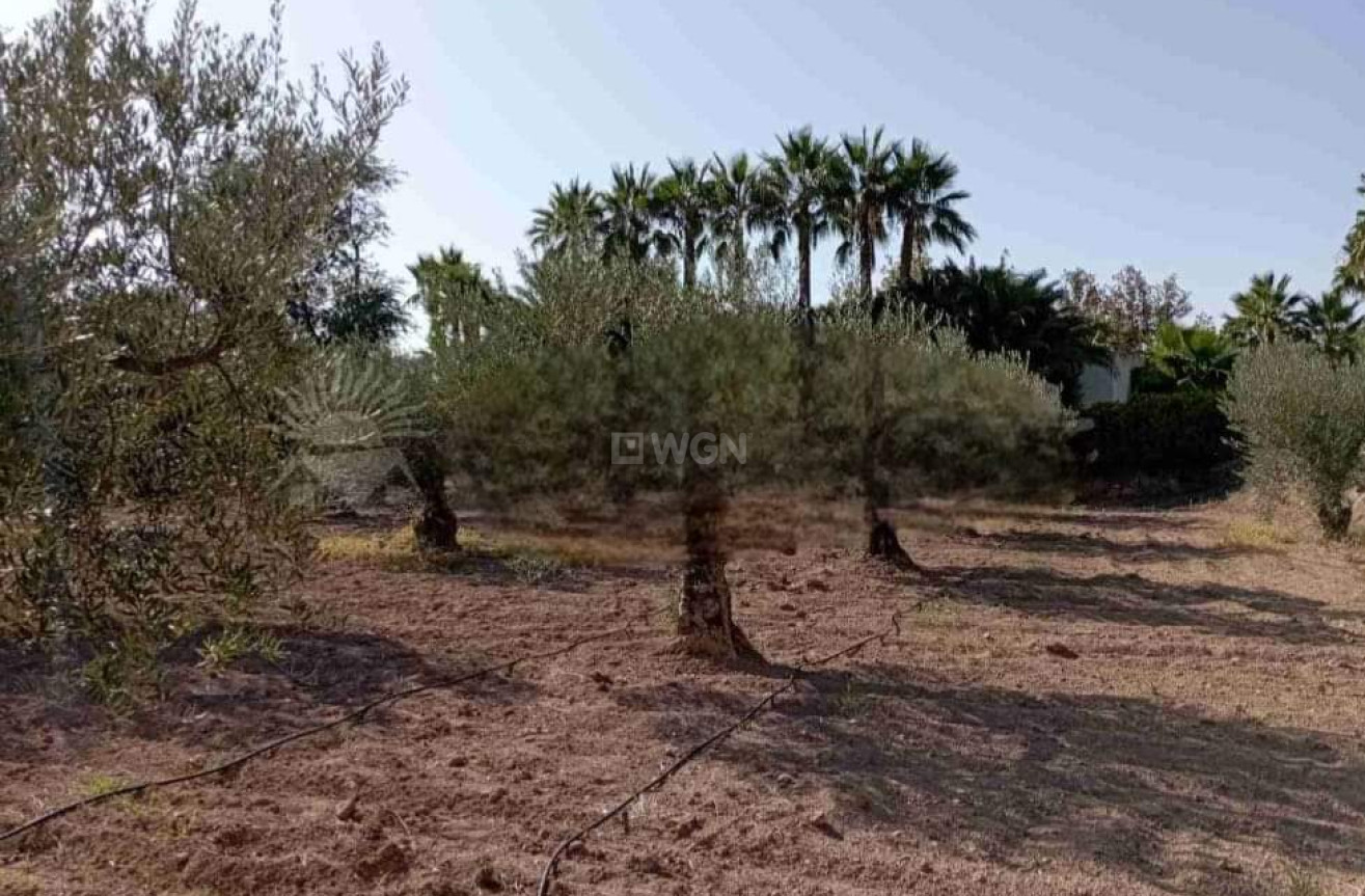 Resale - Villa - Jumilla - Inland