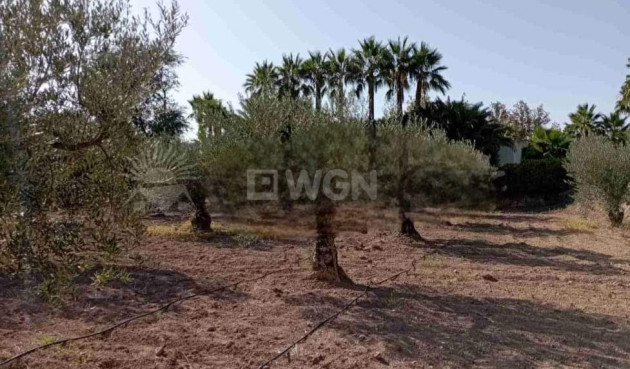 Resale - Villa - Jumilla - Inland