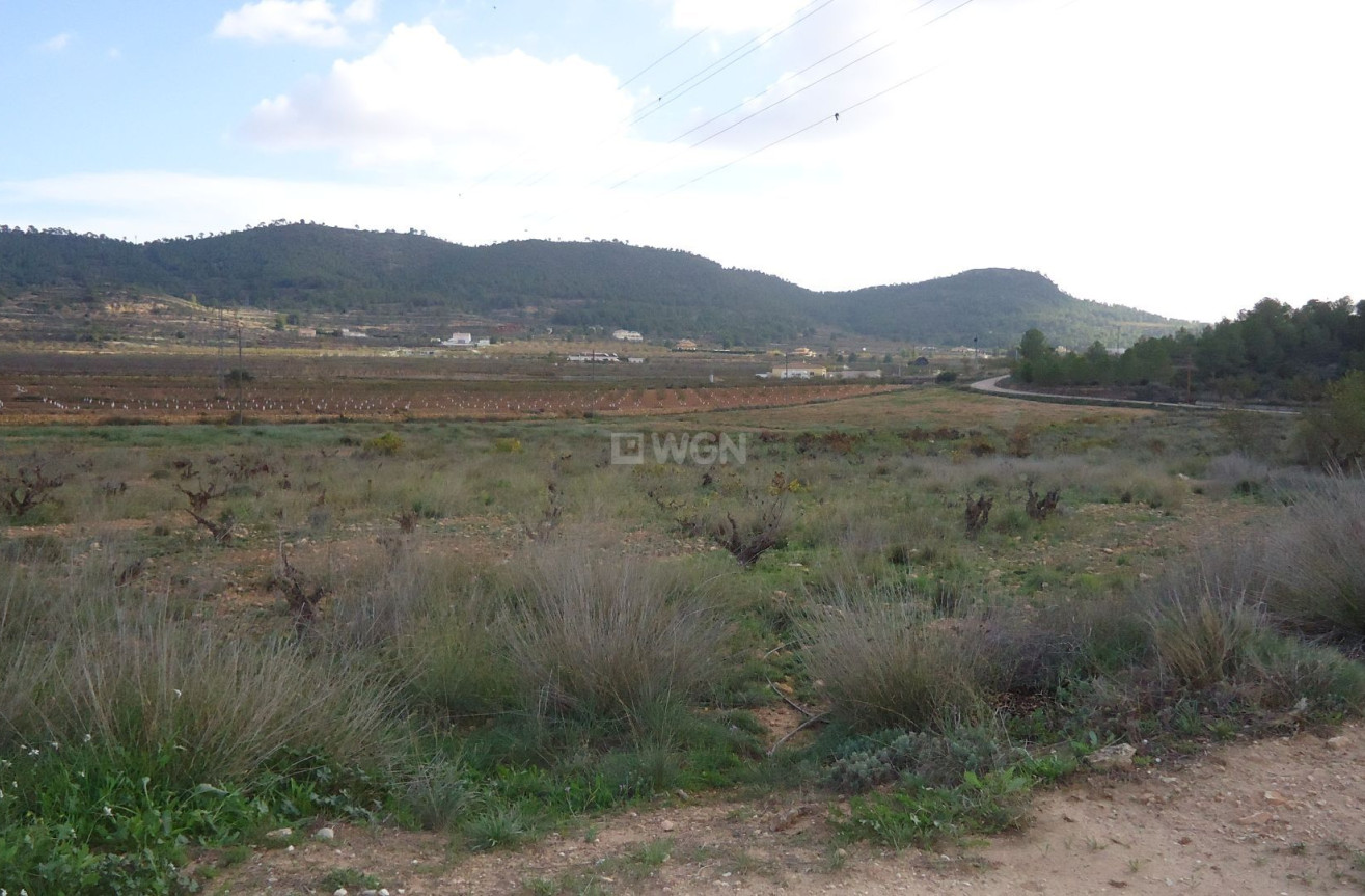 Resale - Land - Pinoso - Inland