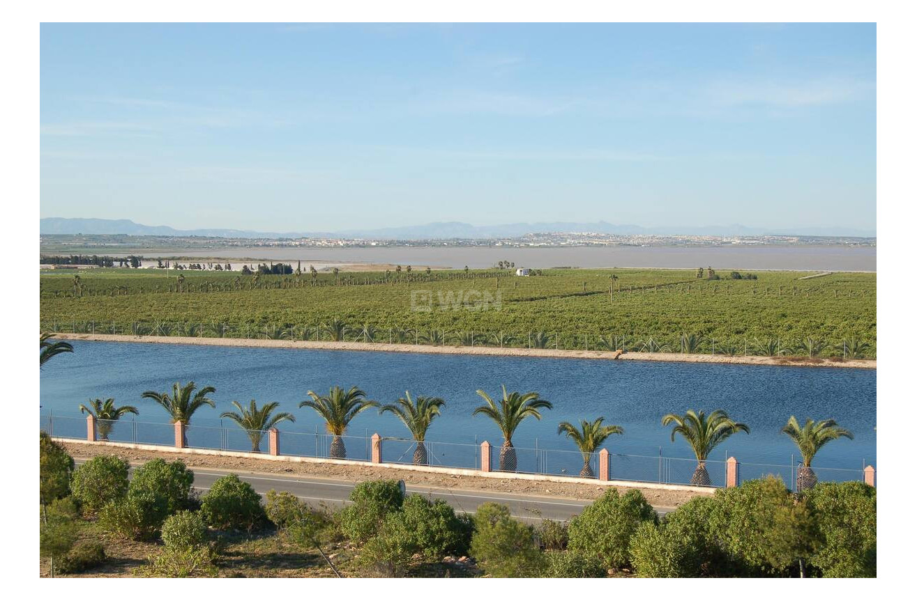 Resale - Apartment / flat - Torrevieja - Costa Blanca