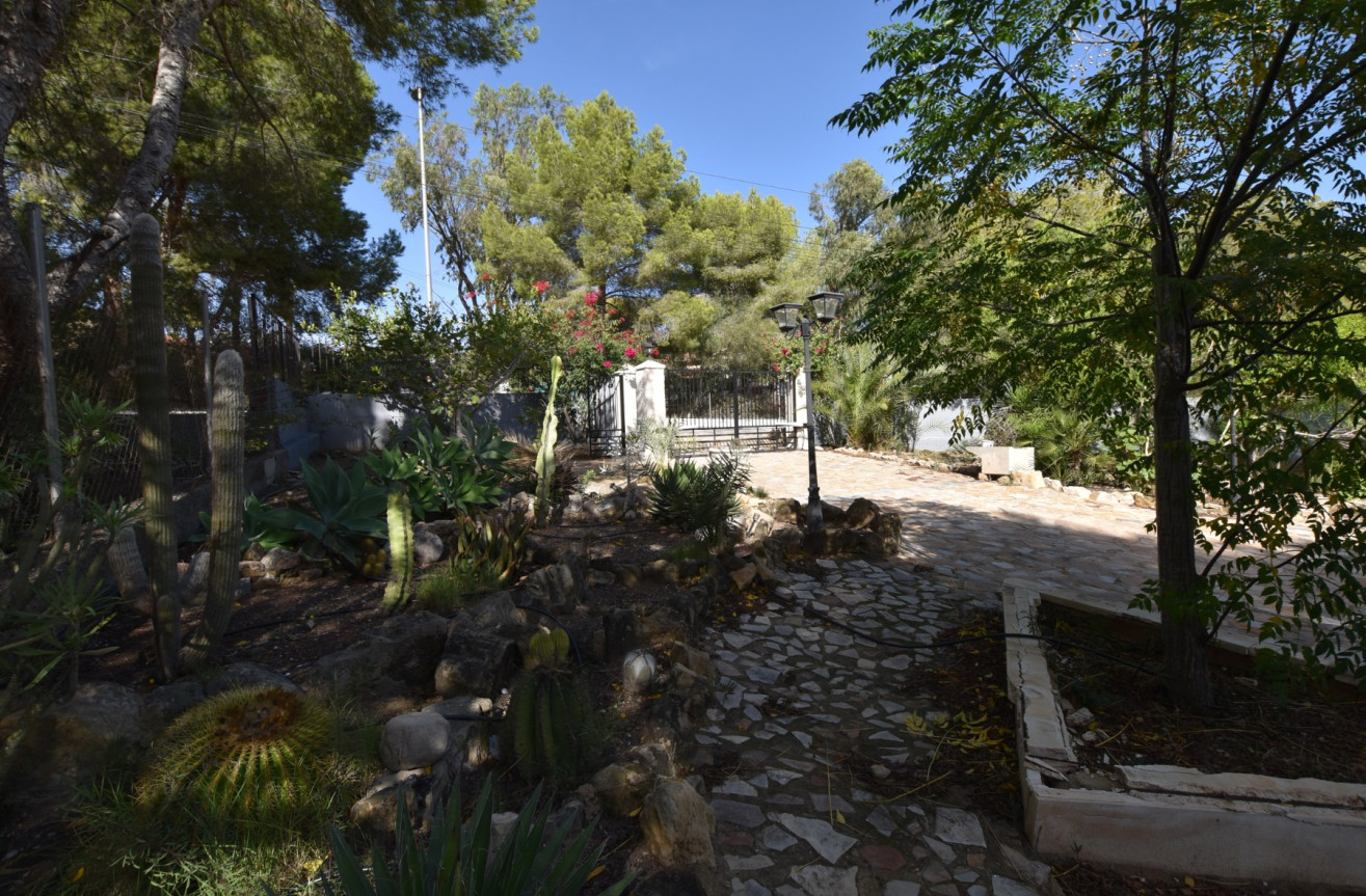 Resale - Finca - Algorfa - Inland