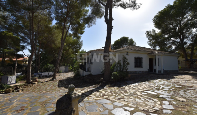 Resale - Finca - Algorfa - Inland