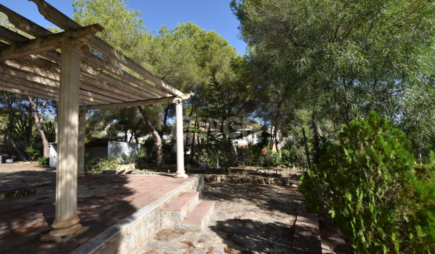 Resale - Finca - Algorfa - Inland