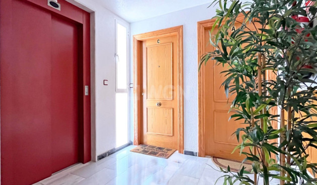 Resale - Apartment / flat - Torrevieja - Costa Blanca