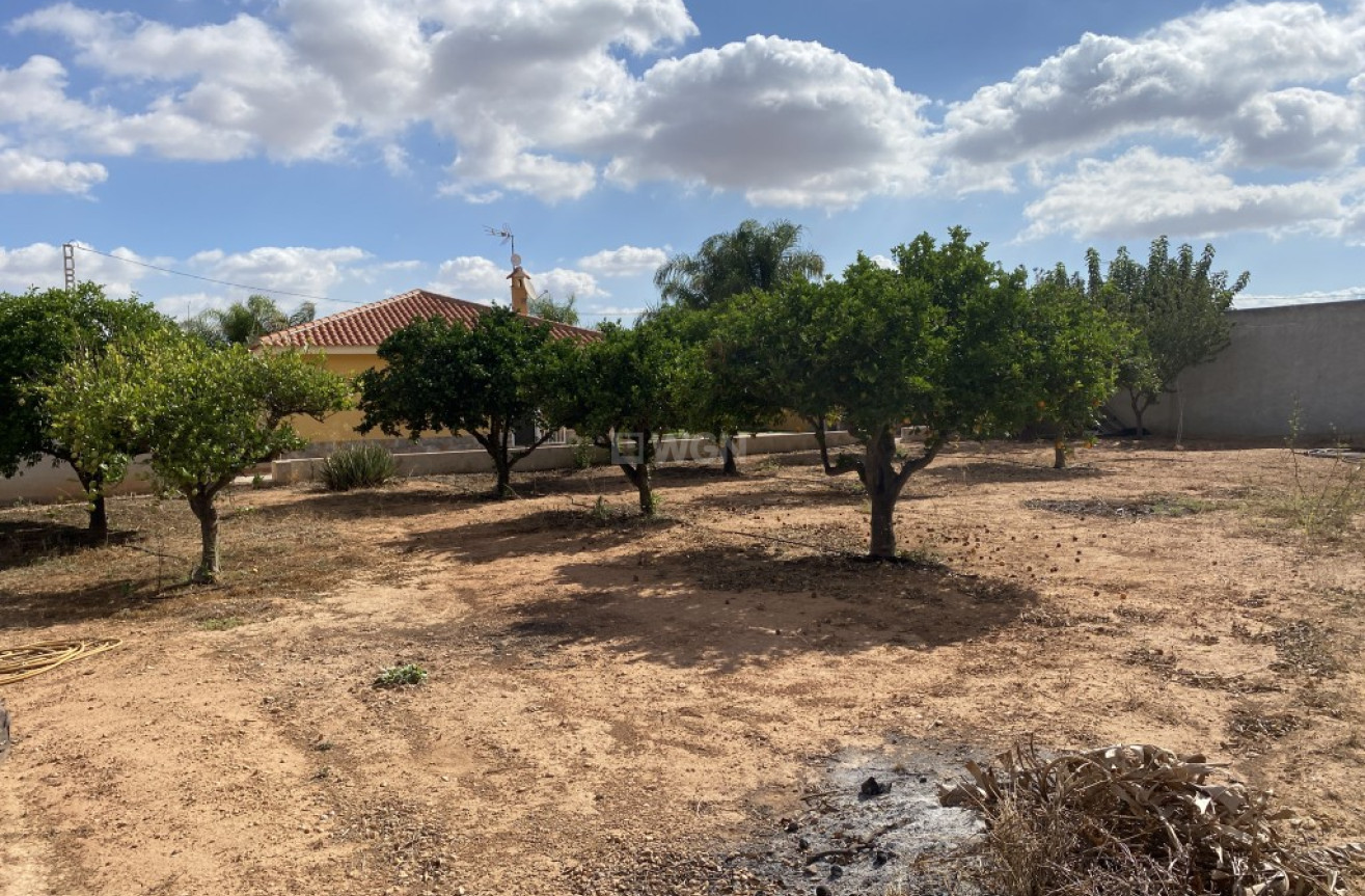 Reventa - Finca - Murcia - Inland