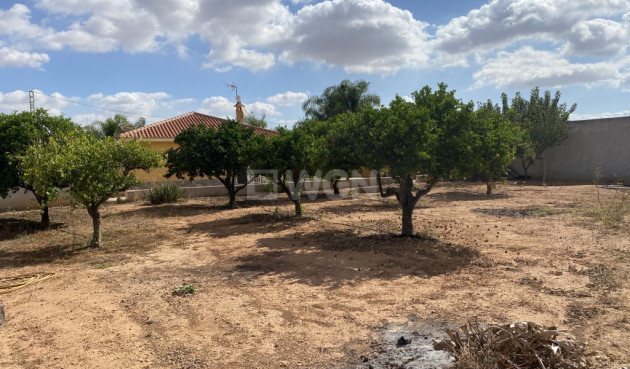 Reventa - Finca - Murcia - Inland