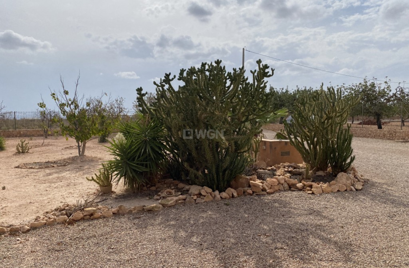 Reventa - Adosado - Fuente Álamo - Inland