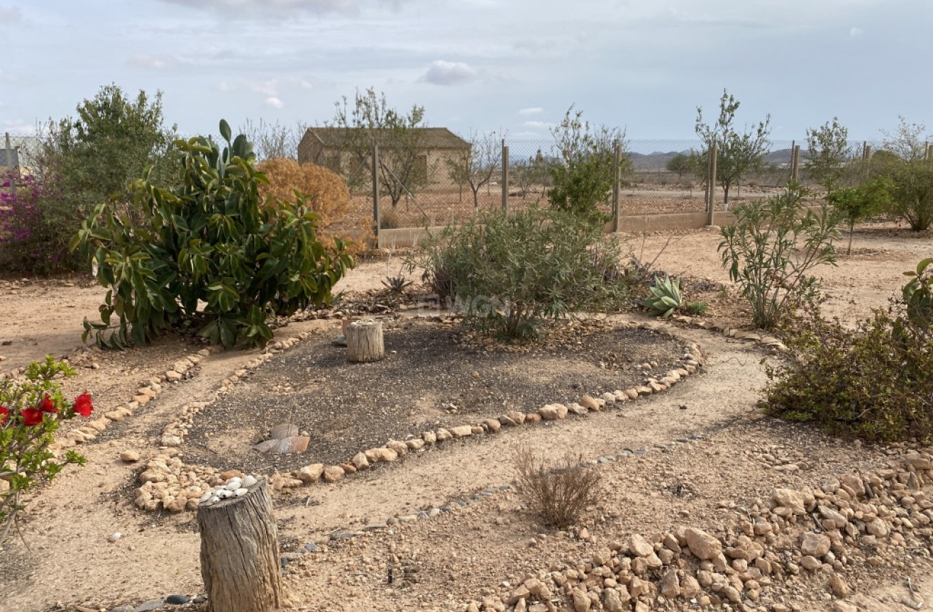 Reventa - Adosado - Fuente Álamo - Inland