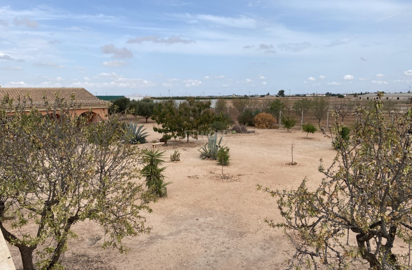 Reventa - Adosado - Fuente Álamo - Inland