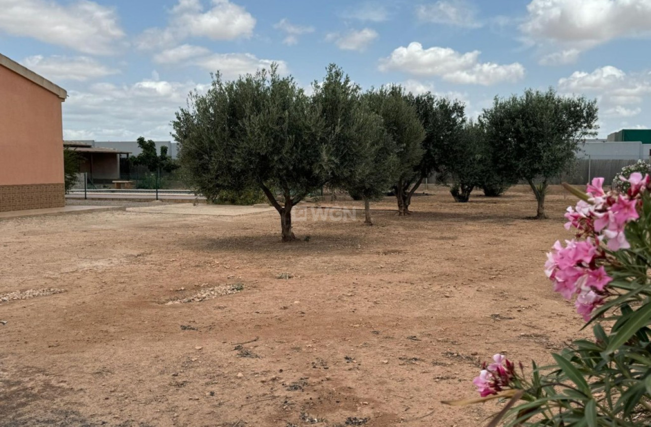 Reventa - Adosado - Fuente Álamo - Inland