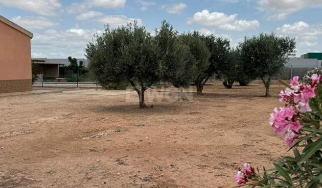 Reventa - Adosado - Fuente Álamo - Inland