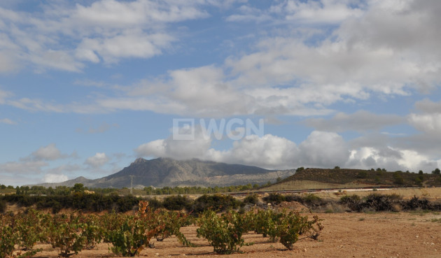 Reventa - Parking - Jumilla - Inland