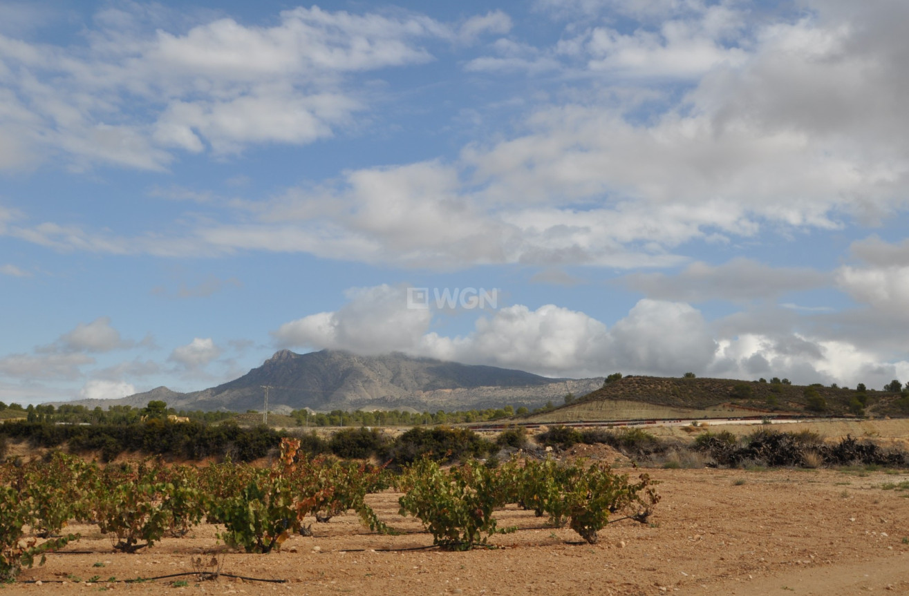 Reventa - Parking - Jumilla - Inland