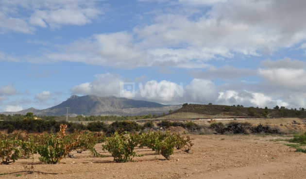 Reventa - Parking - Jumilla - Inland