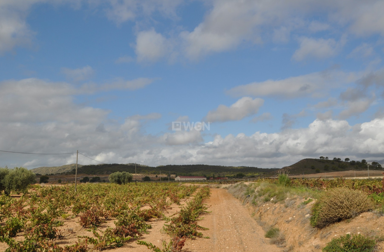 Reventa - Parking - Jumilla - Inland