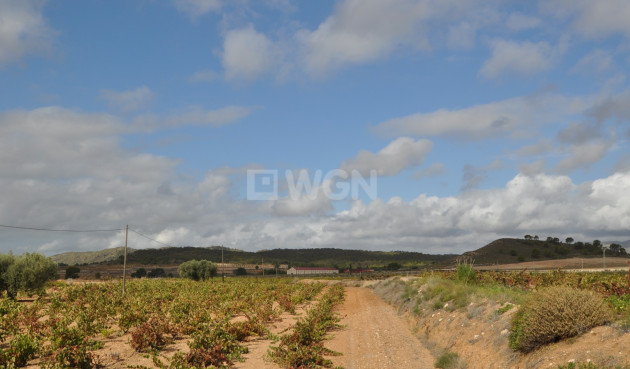 Reventa - Parking - Jumilla - Inland