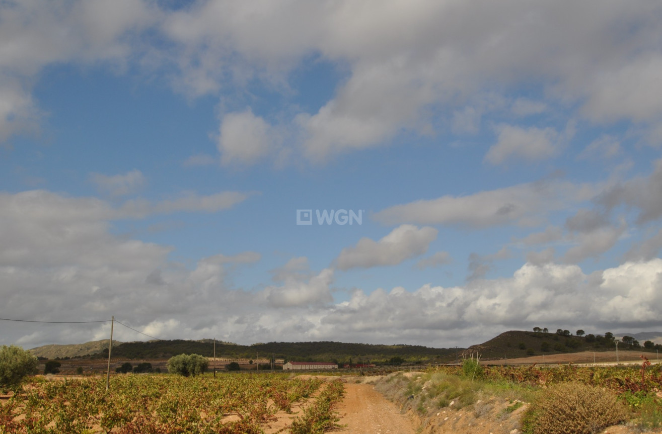 Reventa - Parking - Jumilla - Inland