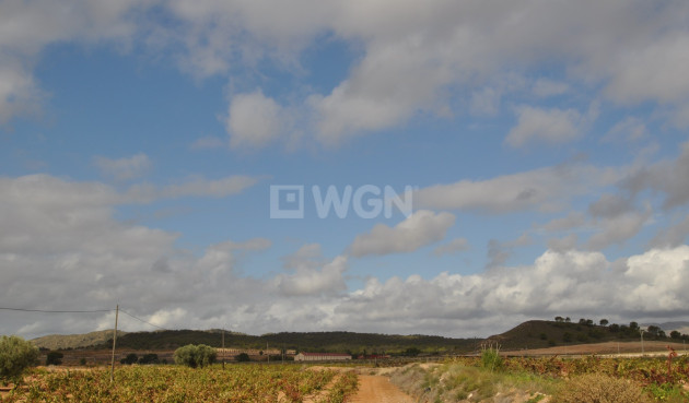 Reventa - Parking - Jumilla - Inland