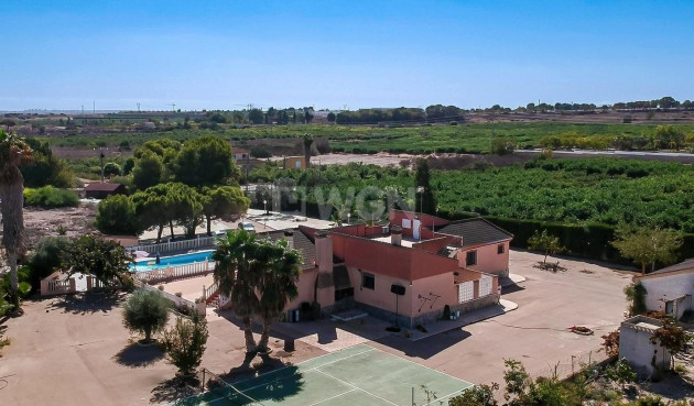 Reventa - Country House - Algorfa - Inland