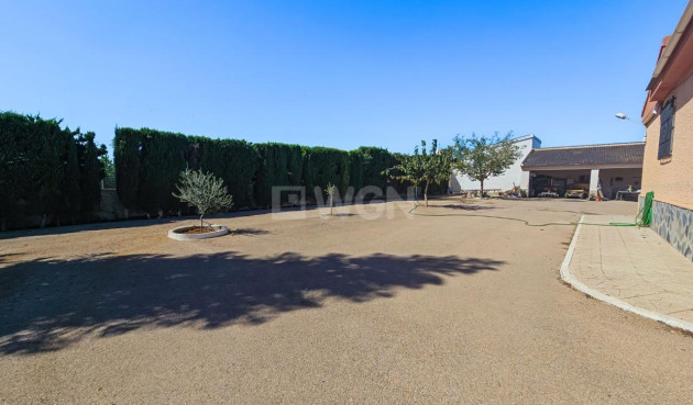 Reventa - Country House - Algorfa - Inland