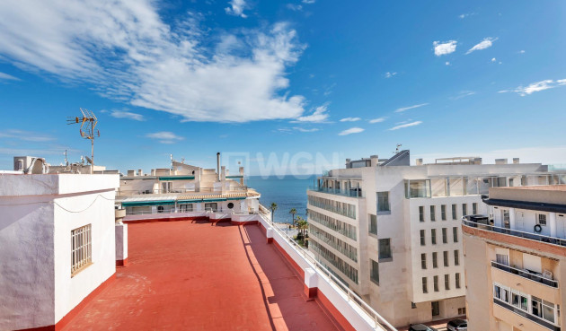 Resale - Apartment / flat - Torrevieja - Playa del Cura