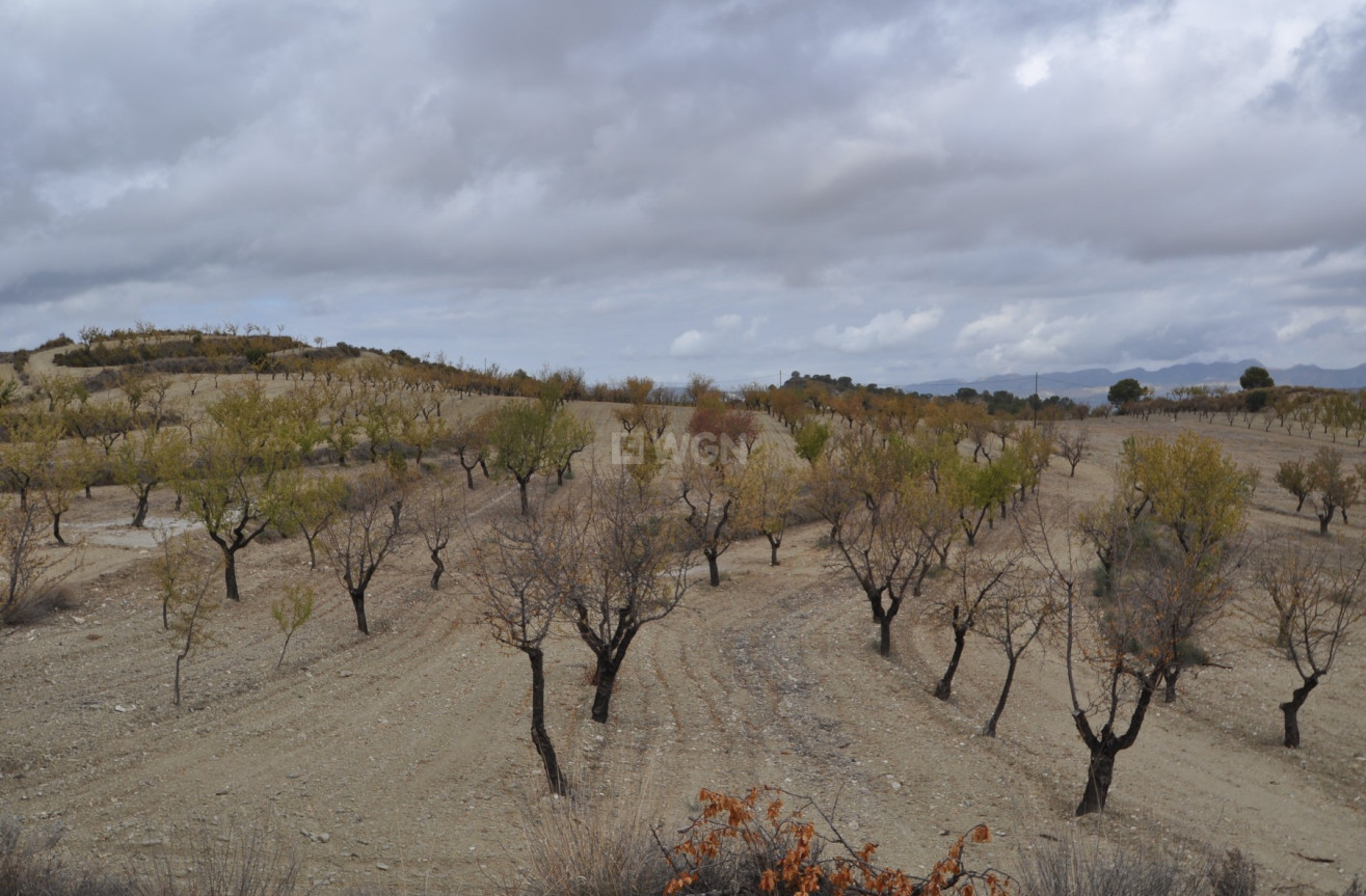 Reventa - Land - La Zarza - Inland