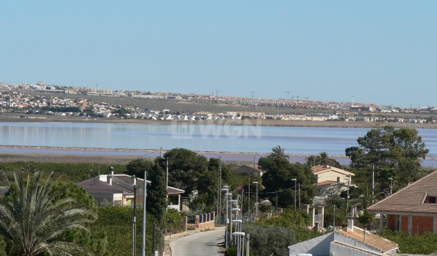 Obra nueva - Villa - Los Montesinos - La Herrada