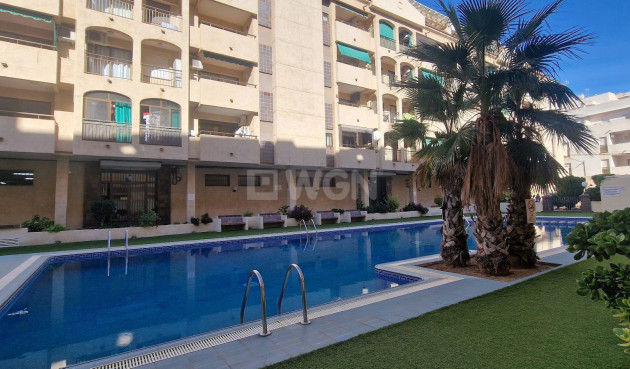 Reventa - Apartamento / piso - Torrevieja - Costa Blanca