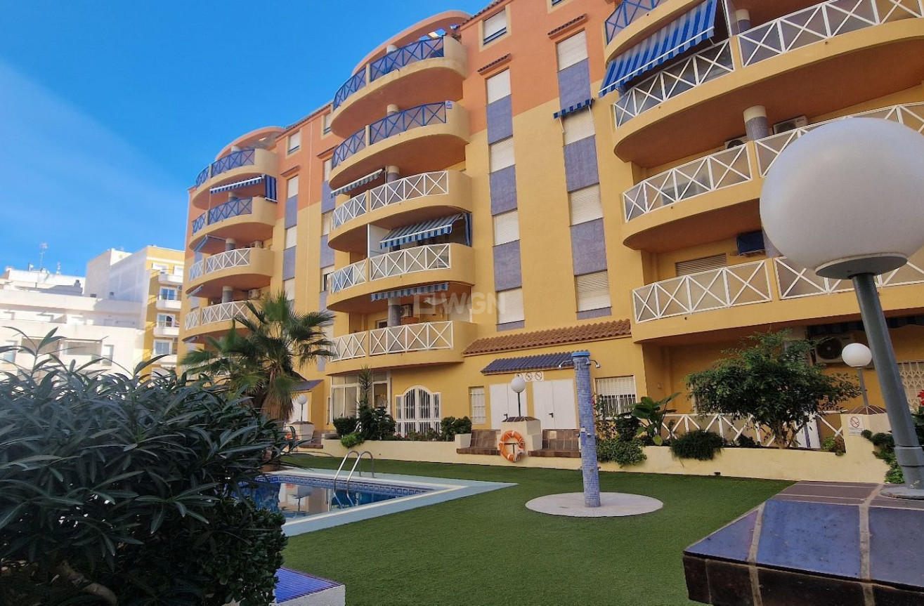 Reventa - Apartamento / piso - Torrevieja - Costa Blanca