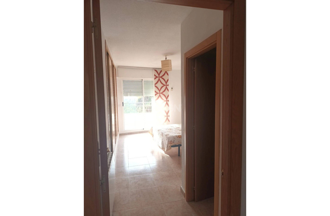 Reventa - Duplex - Molina De Segura - Altorreal