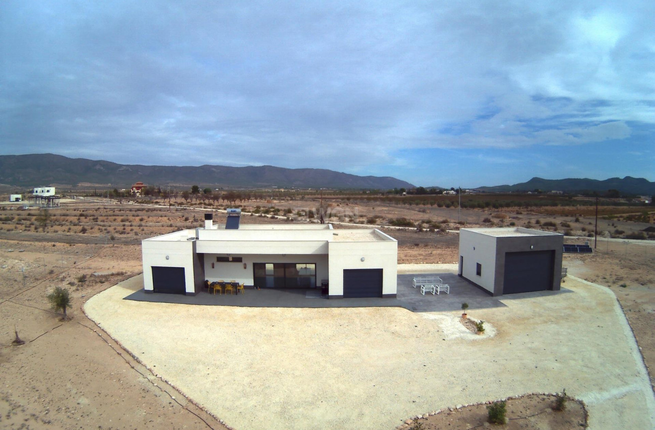 New Build - Villa - Pinoso - Camino Del Prado