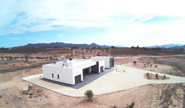 Obra nueva - Villa - Pinoso - Camino Del Prado