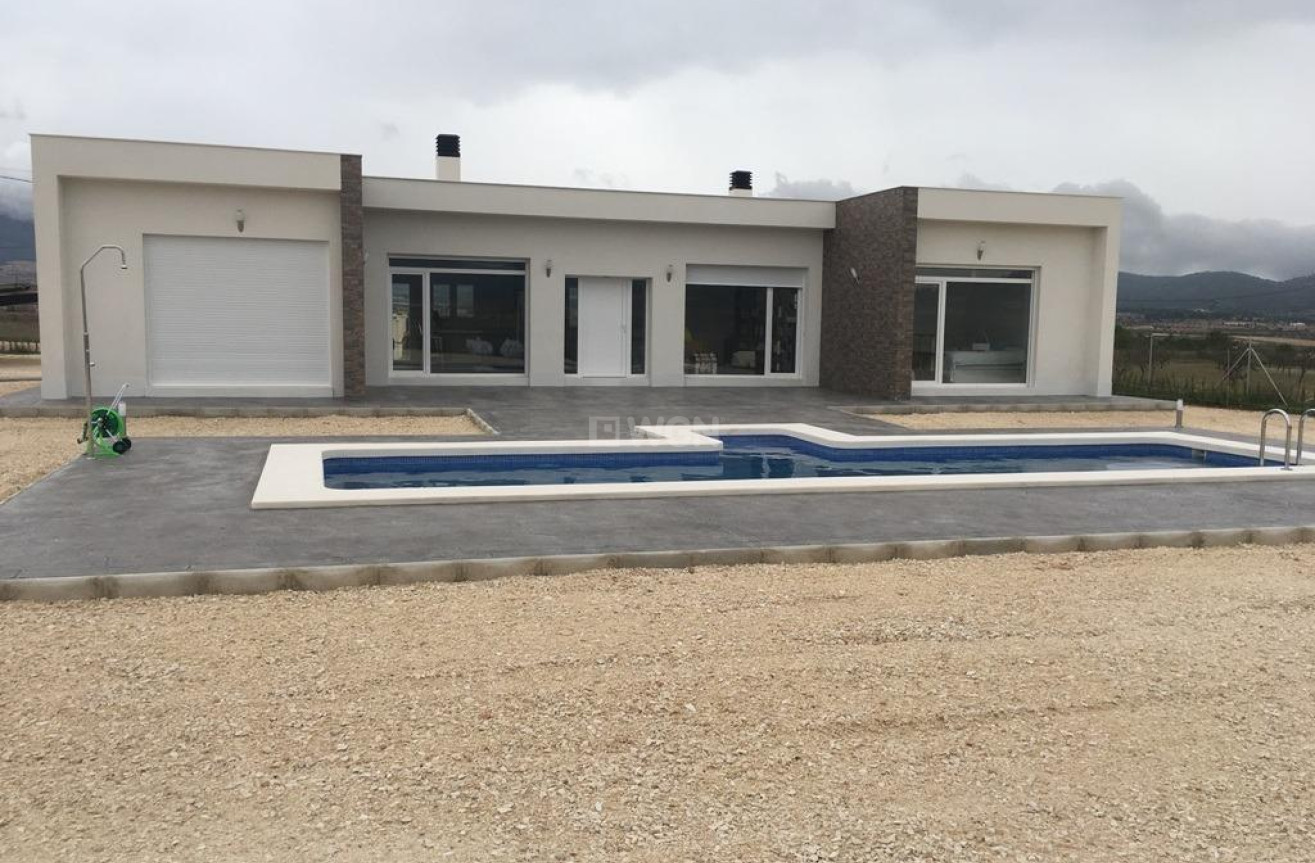 New Build - Villa - Pinoso - Camino Del Prado