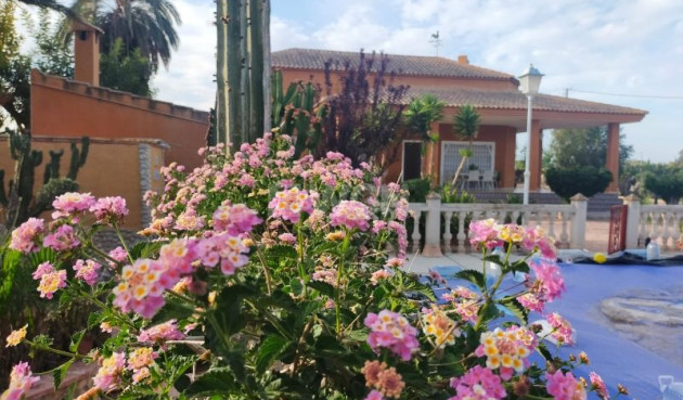 Resale - Villa - Elche - Costa Blanca