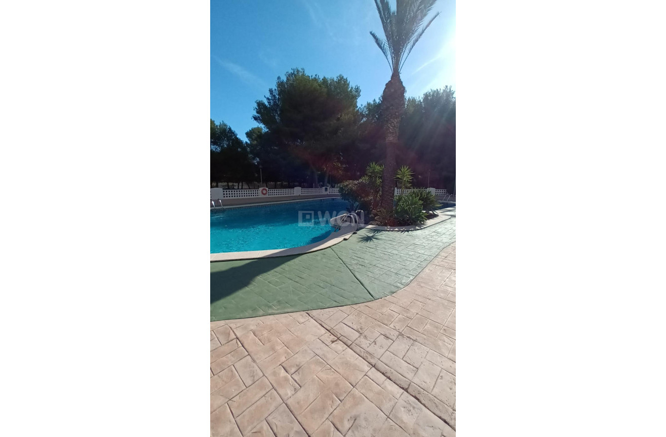 Reventa - Apartamento / piso - Orihuela Costa - Campoamor