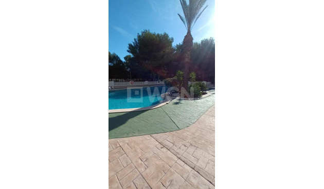 Reventa - Apartamento / piso - Orihuela Costa - Campoamor