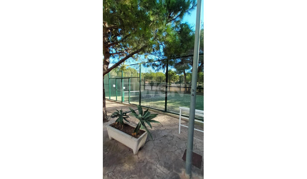 Reventa - Apartamento / piso - Orihuela Costa - Campoamor