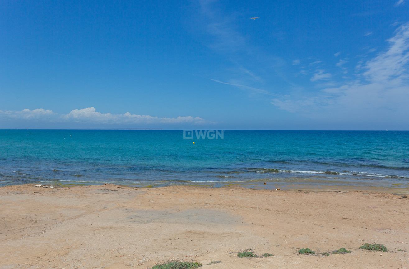 Odsprzedaż - Mieszkanie w bloku - Torrevieja - Costa Blanca